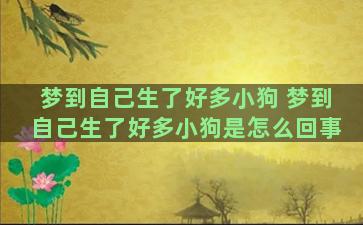 梦到自己生了好多小狗 梦到自己生了好多小狗是怎么回事